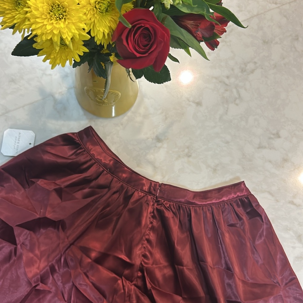 NWT Roxie Tulle Mini Skirt - Picture 8 of 8